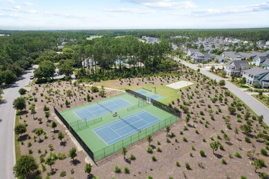 Welcome to this highly sought-after Huff Coral Bean floor plan - photo 43