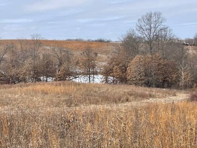 (private lake, pond, coastal) Acreage For Sale in Harris Missouri