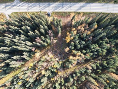 Salcha River Acreage For Sale in Salcha Alaska