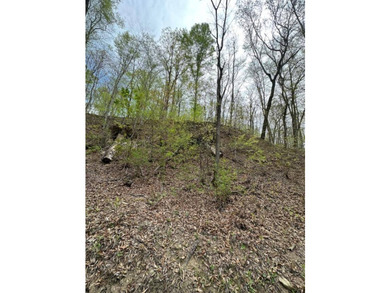 REDUCED: TAKE A LOOK AT THIS STEAL OF A DEAL...ATT: HUNTERS-$79 - photo 11