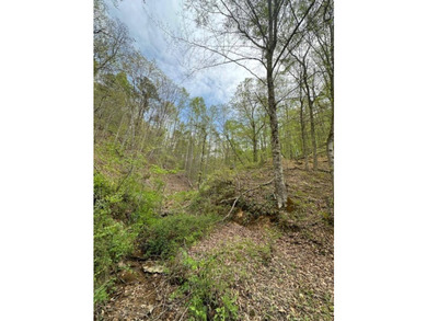 REDUCED: TAKE A LOOK AT THIS STEAL OF A DEAL...ATT: HUNTERS-$79 - photo 12