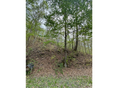 REDUCED: TAKE A LOOK AT THIS STEAL OF A DEAL...ATT: HUNTERS-$79 - photo 14