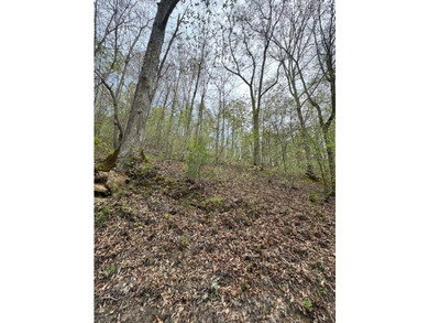 REDUCED: TAKE A LOOK AT THIS STEAL OF A DEAL...ATT: HUNTERS-$79 - photo 15