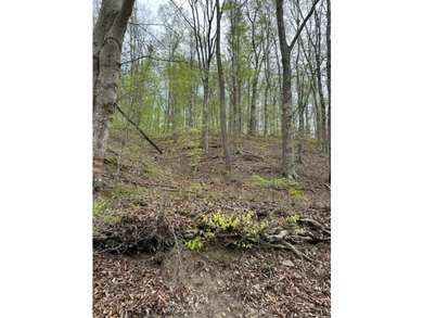 REDUCED: TAKE A LOOK AT THIS STEAL OF A DEAL...ATT: HUNTERS-$79 - photo 16