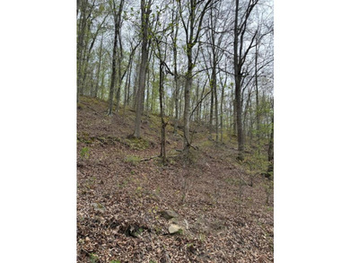 REDUCED: TAKE A LOOK AT THIS STEAL OF A DEAL...ATT: HUNTERS-$79 - photo 17