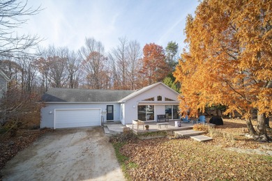 Lake Home For Sale in Bear Lake, Michigan