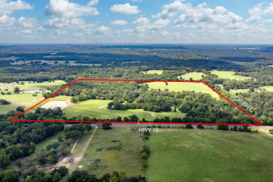 86.98 Acres in Athens! - photo 12