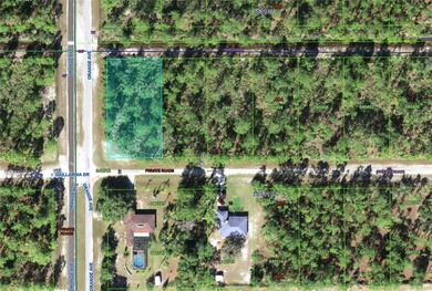 Lake Weohyakapka Lot For Sale in Indian Lake Estates Florida