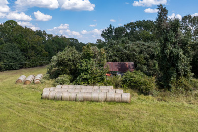 86.98 Acres in Athens! - photo 7