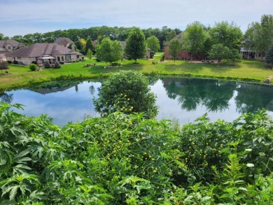 (private lake, pond, creek) Lot For Sale in Mokena Illinois