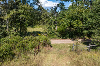 86.98 Acres in Athens! - photo 10