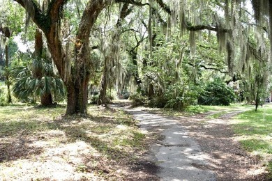 Don't miss this seldom opportunity to purchase a .48 acre lot on - photo 4