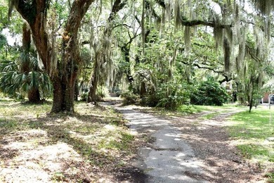 Don't miss this seldom opportunity to purchase a .48 acre lot on - photo 5