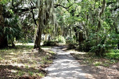 Don't miss this seldom opportunity to purchase a .48 acre lot on - photo 6