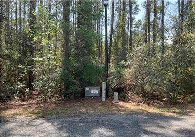 (private lake, pond, coastal) Lot Active Under Contract in Saint Marys Georgia