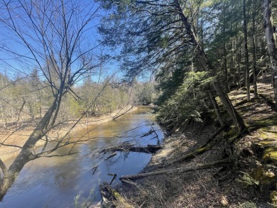 (private lake, pond, creek) Acreage For Sale in Brethren Michigan