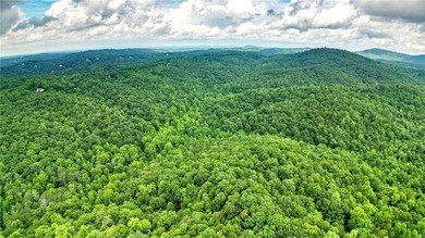 Beautiful 23.83 Acres of Wooded Land for Sale Discover your - photo 9