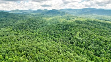 Beautiful 23.83 Acres of Wooded Land for Sale Discover your - photo 10