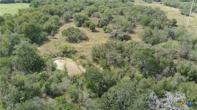 (private lake, pond, creek) Acreage For Sale in Seguin Texas