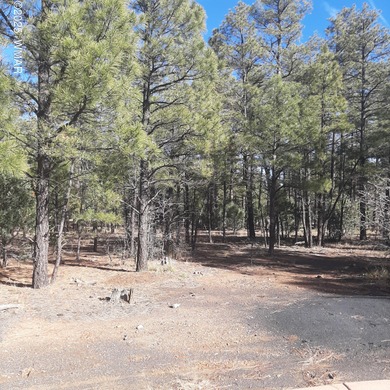 Lake Lot For Sale in Show Low, Arizona
