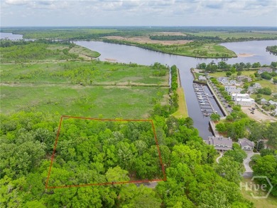 (private lake, pond, coastal) Lot For Sale in Richmond Hill Georgia