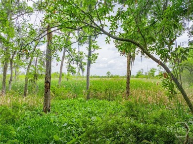An Extraordinary Lowcountry Homesite - Where the Marsh Meets the - photo 3