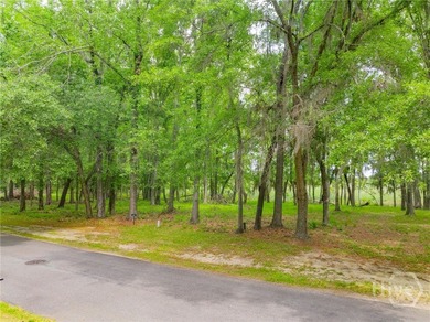 An Extraordinary Lowcountry Homesite - Where the Marsh Meets the - photo 10