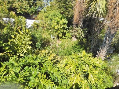 Secluded Retreat tucked away in a Well Established PET FRIENDLY - photo 44