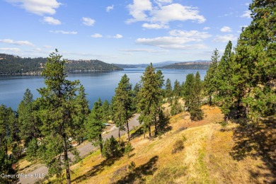 Lake Lot For Sale in Harrison, Idaho