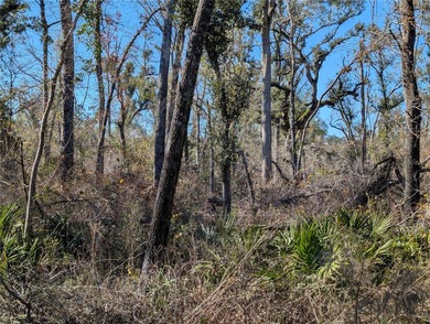 Suwannee River Lot For Sale in Mayo Florida