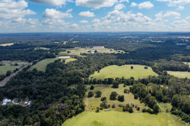 86.98 Acres in Athens! - photo 3