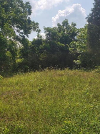 Lake Lot Off Market in Washburn, Tennessee