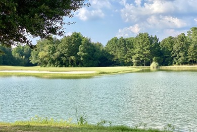 BUILD YOUR DREAM HOUSE in the gorgeous SHADOW RIDGE Golf - photo 13