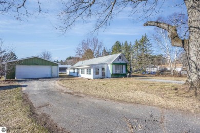 Lake Home For Sale in Lake City, Michigan