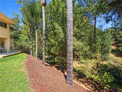 Located on one of the most prestigious streets in the Miraleste - photo 49