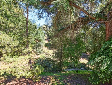 Located on one of the most prestigious streets in the Miraleste - photo 50