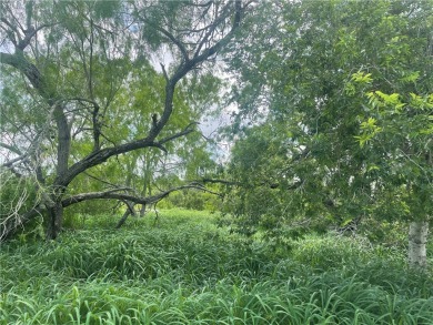 Lake Corpus Christi Lot For Sale in Mathis Texas