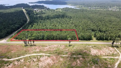 Lake Acreage For Sale in Bronson, Texas