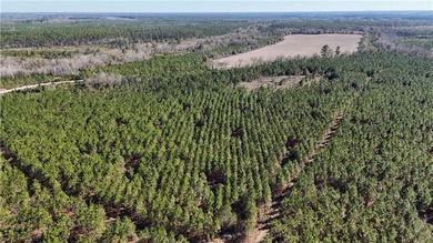 (private lake, pond, coastal) Acreage For Sale in Odum Georgia