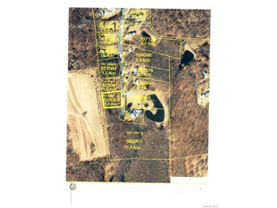 (private lake, pond, coastal) Acreage For Sale in Verbank New York