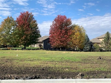 (private lake, pond, creek) Lot For Sale in Owatonna Minnesota