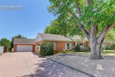 Lovingly preserved and timeless 1954 brick Colonial ranch on a - photo 2
