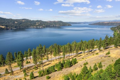 Lake Lot For Sale in Harrison, Idaho