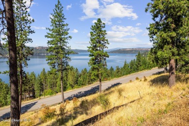 Lake Lot For Sale in Harrison, Idaho