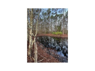 (private lake, pond, coastal) Acreage Active Under Contract in Jesup Georgia