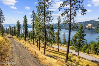 Lake Lot For Sale in Harrison, Idaho