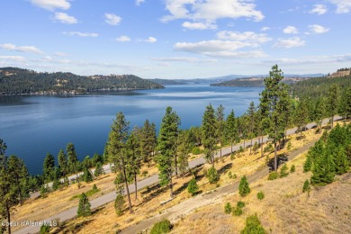 Lake Lot For Sale in Harrison, Idaho