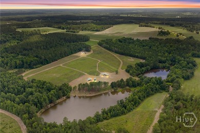 (private lake, pond, coastal) Home For Sale in Millen Georgia