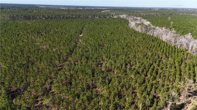 (private lake, pond, coastal) Acreage For Sale in Odum Georgia