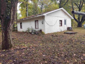 Perch Lake - Clare County Home For Sale in Lake Michigan